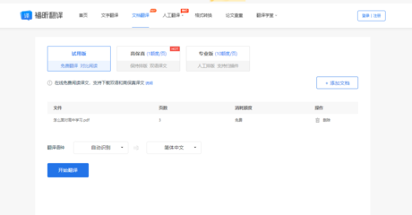 Translation Services for English Documents