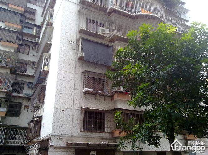 象園路58號 本月均價:24683元/m 產(chǎn)權(quán) :開發(fā)商 : 福州房地產(chǎn)開發(fā)