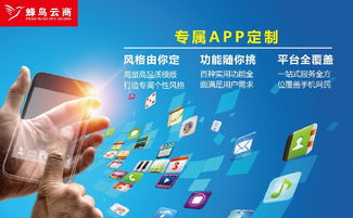 福建泉州廈門福州網(wǎng)站建設(shè)企業(yè)移動(dòng)手機(jī)app定制開發(fā)外包