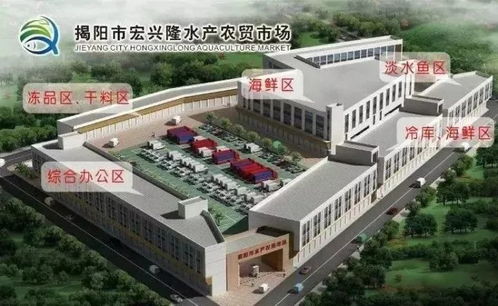 好消息 榕城天福路水產(chǎn)市場下月搬遷,新址選在這