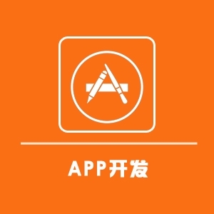 福州專業的app開發公司