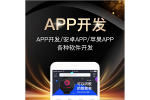福州軟件開發小程序制作網站建設哪家好?