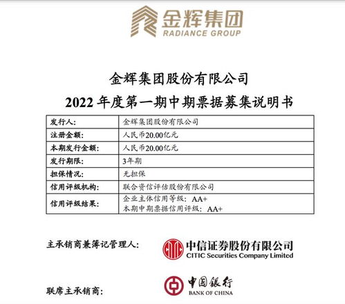 金輝集團注冊發行20億元中票 用于項目建設 購回及償還債務